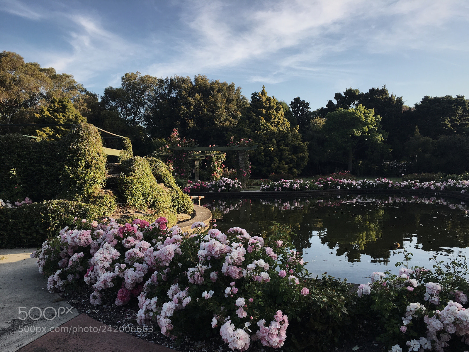 Apple iPhone 6s sample photo. Victoria esplanade in palmy  photography