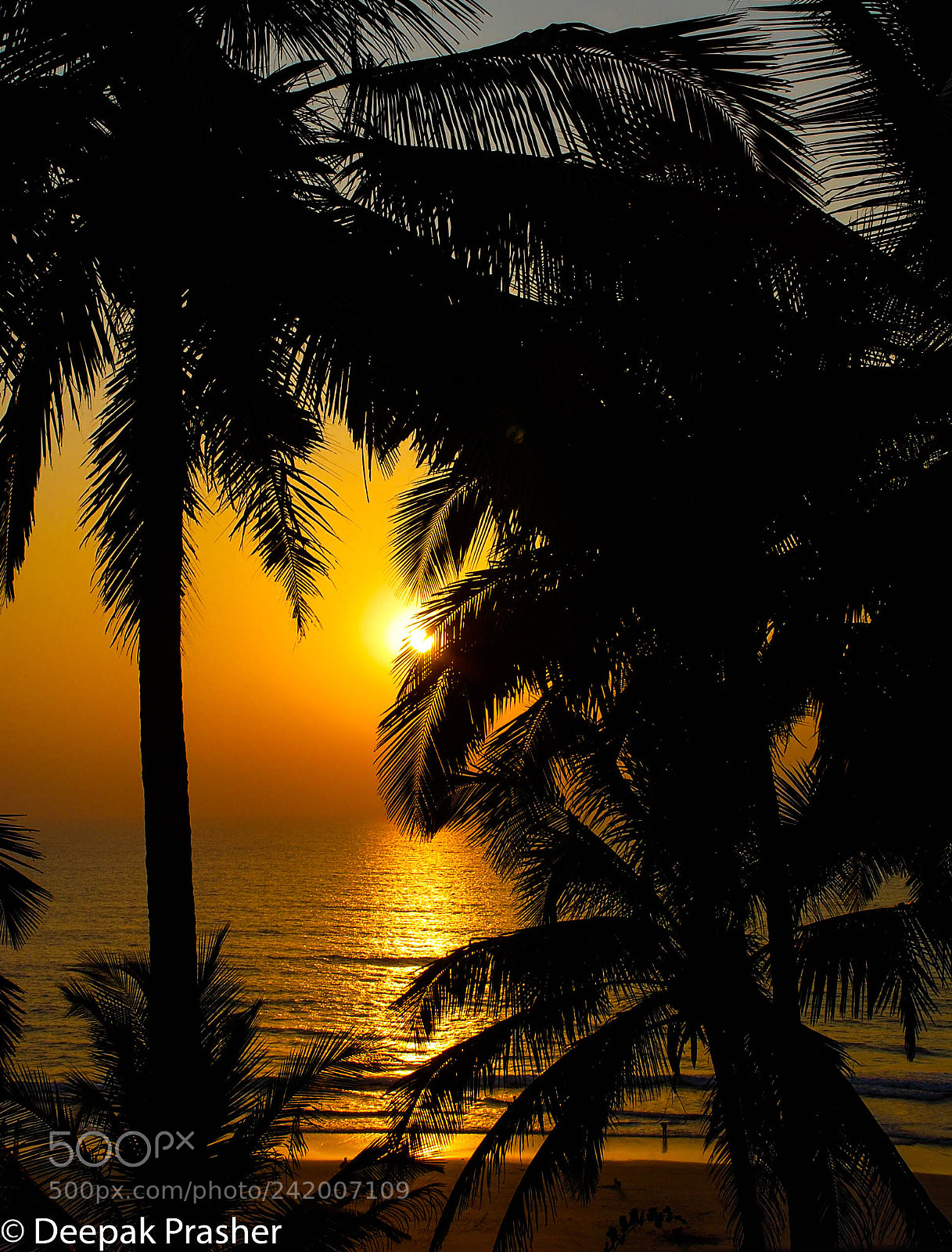 Nikon D80 sample photo. Golden beach photography