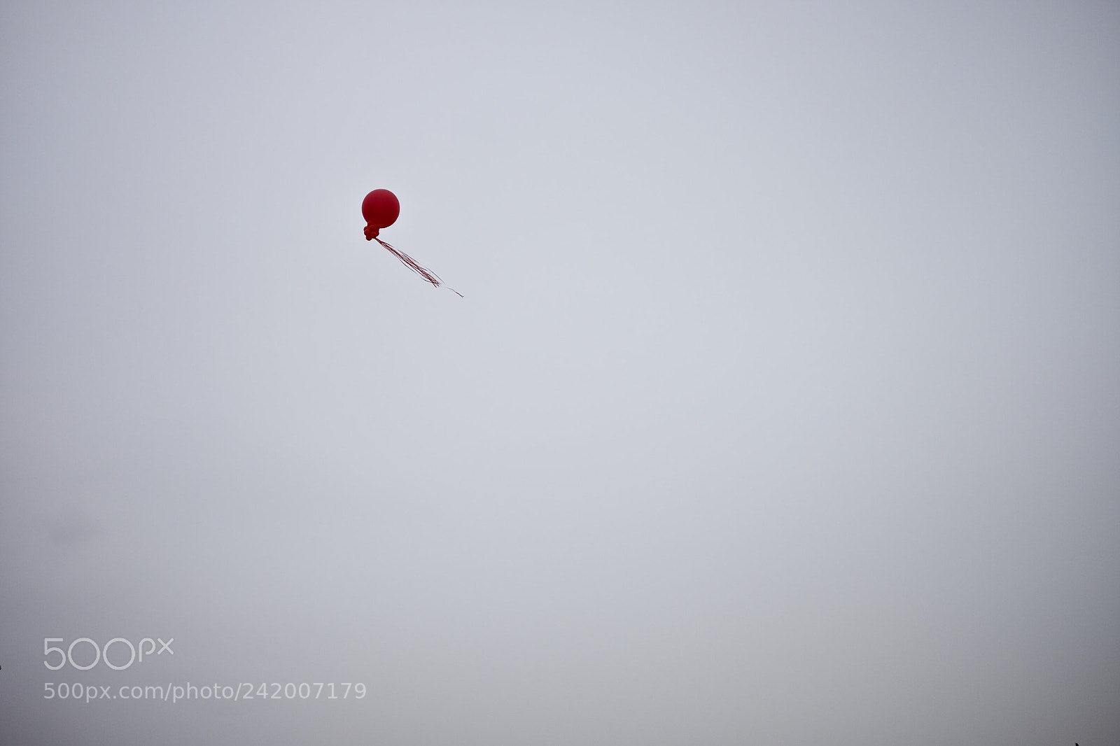 Fujifilm X-T10 sample photo. Learning to fly photography