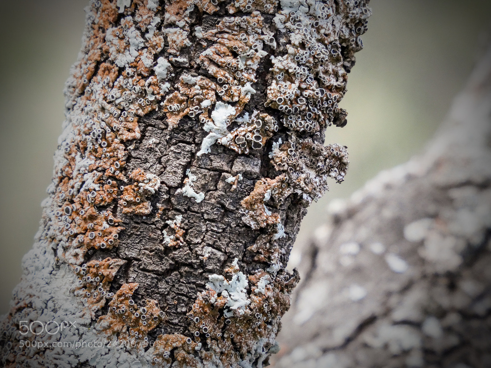 Panasonic Lumix DMC-ZS60 (Lumix DMC-TZ80) sample photo. Nature walk danger falls photography