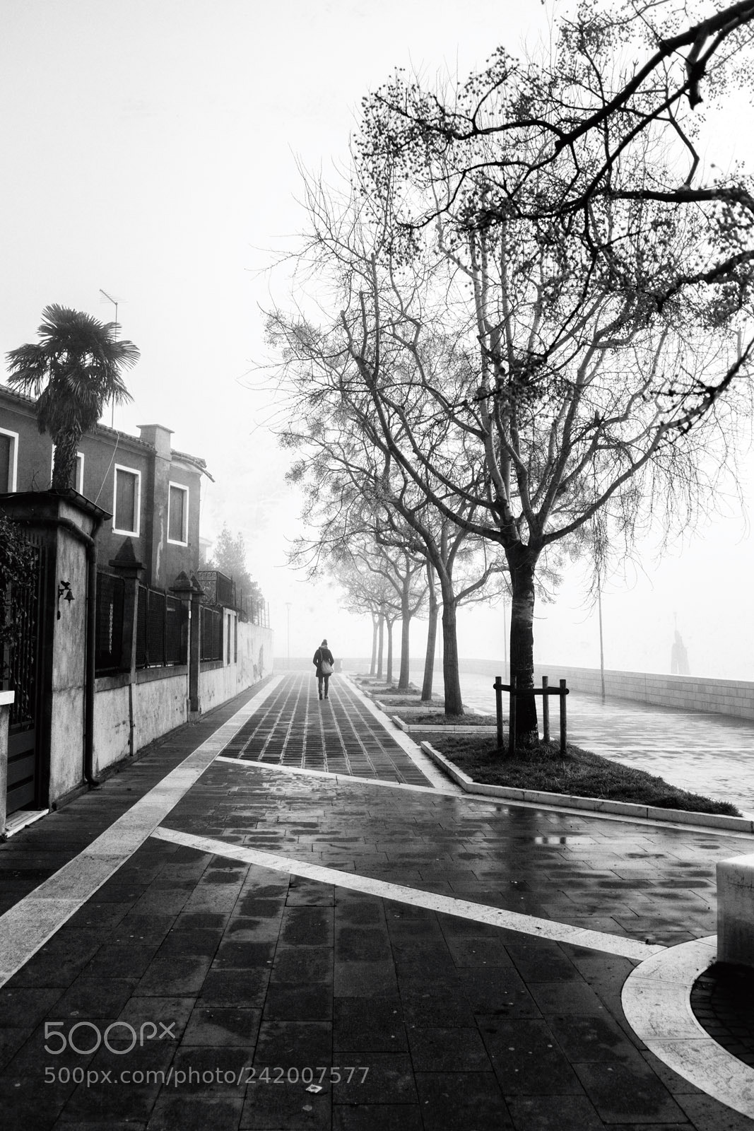 Fujifilm X100S sample photo. Solo la nebbia... photography