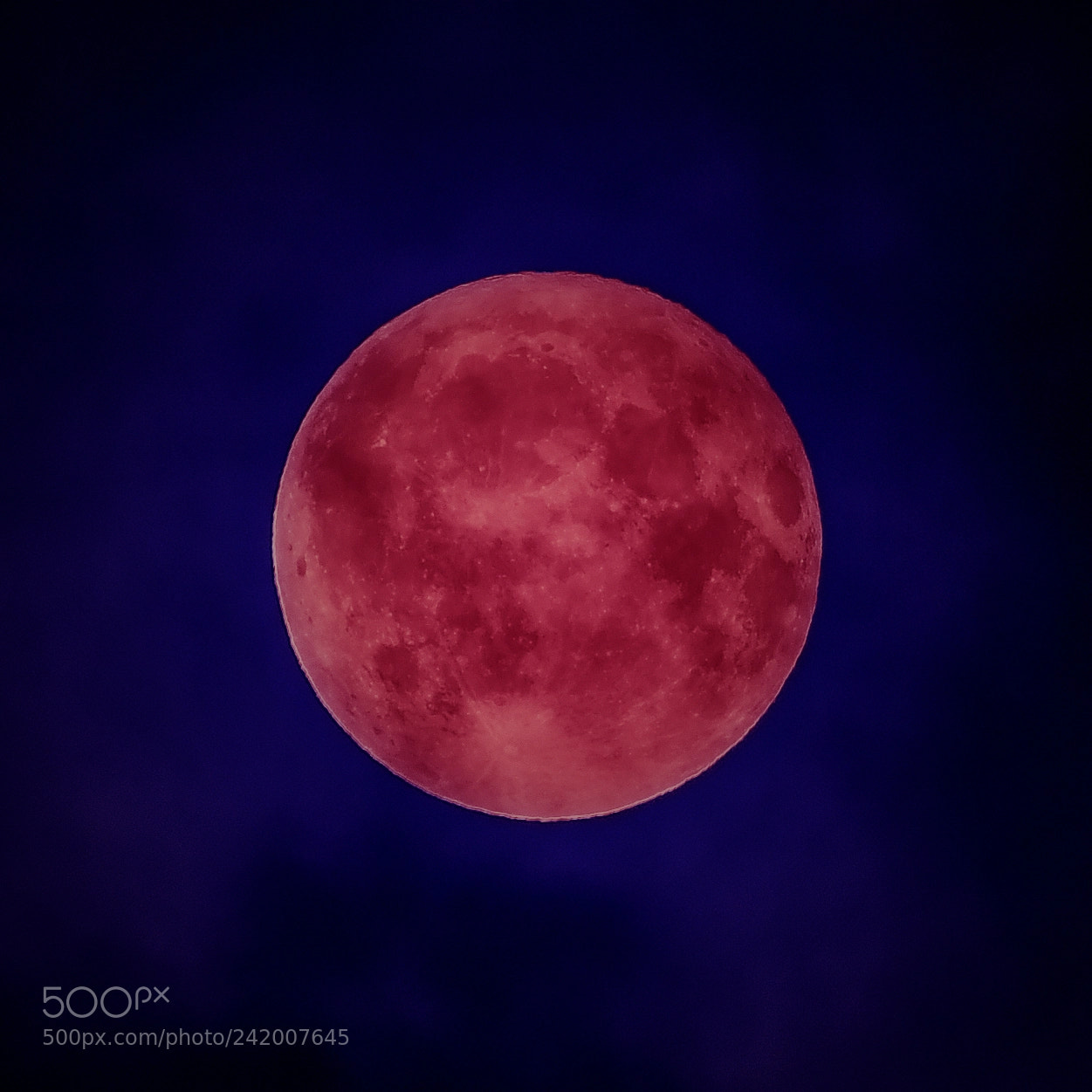 Nikon D4S sample photo. Wolf moon 2018 photography