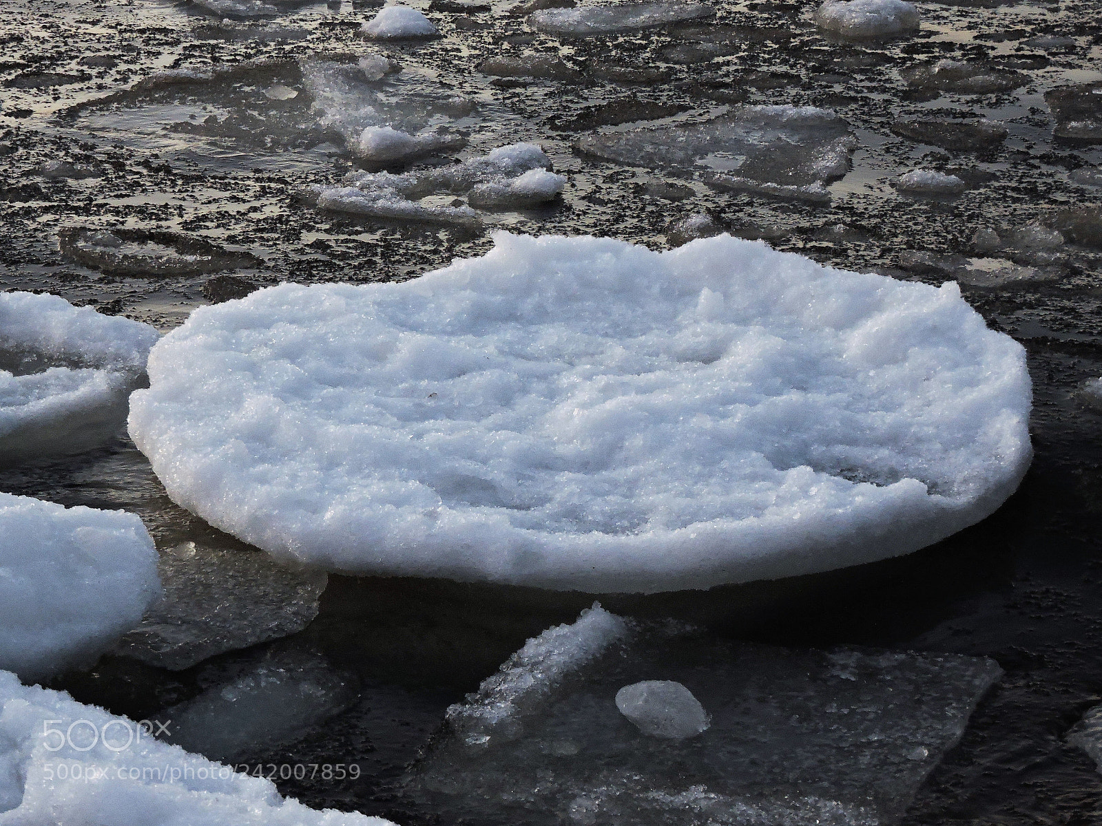 Nikon Coolpix P600 sample photo. The ice plate with photography
