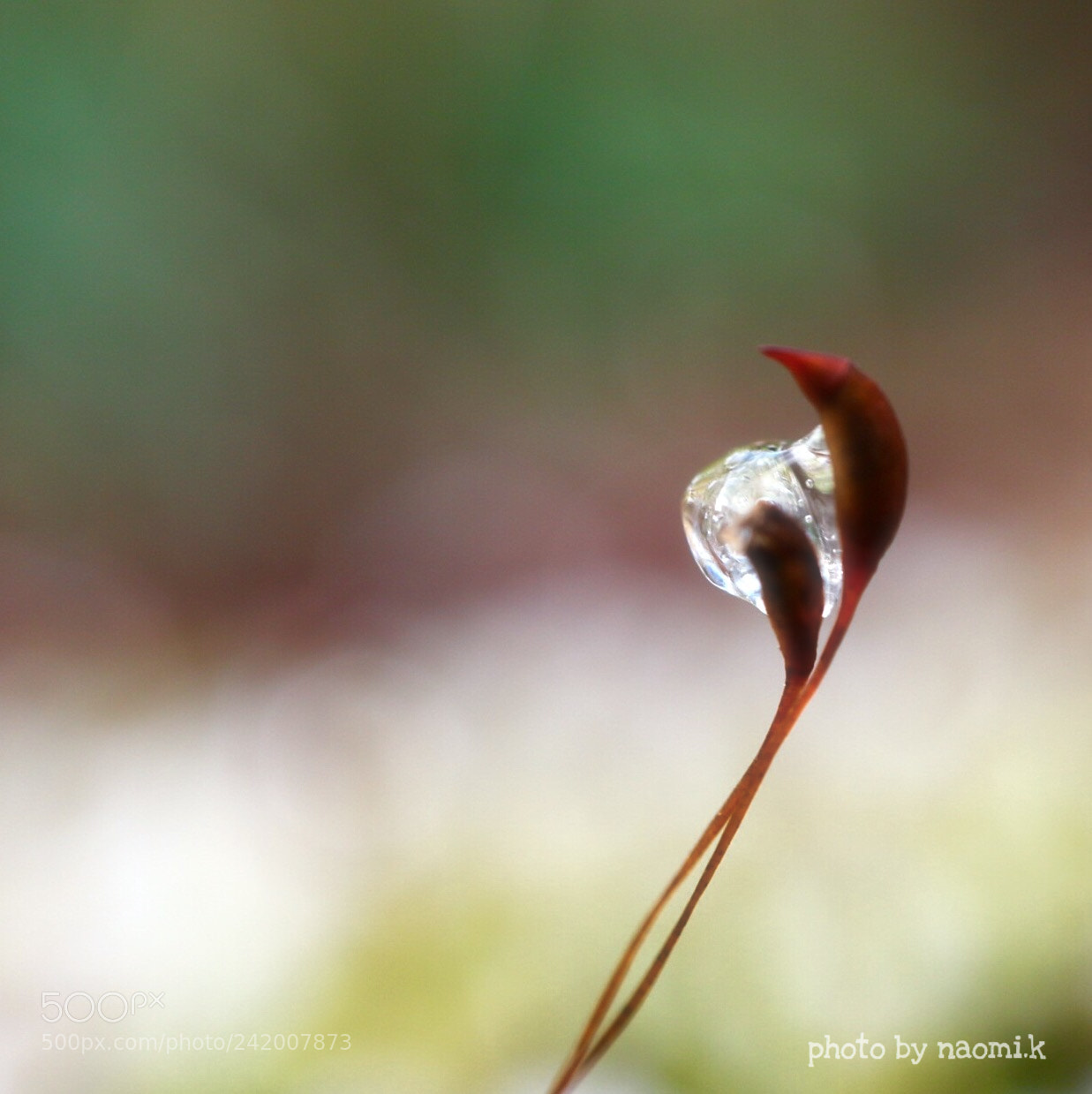 Canon EOS M10 sample photo. Ice heart photography