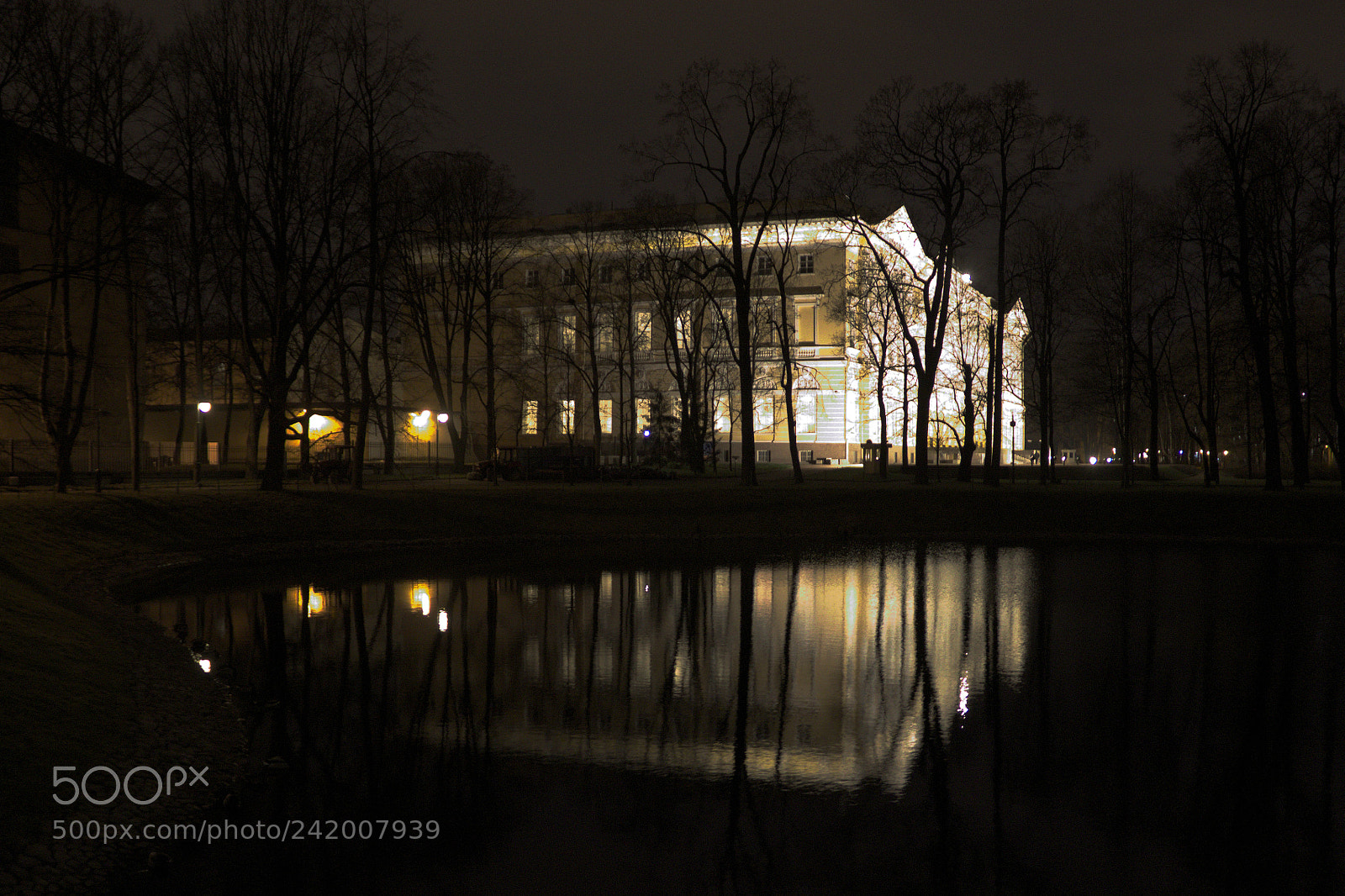 Canon EF-S 18-135mm F3.5-5.6 IS sample photo. Русский музей photography