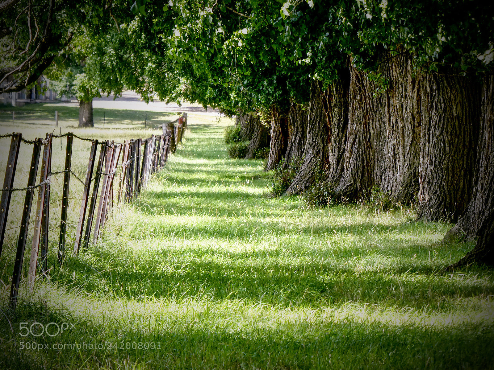 Panasonic Lumix DMC-ZS60 (Lumix DMC-TZ80) sample photo. Gostwyck nsw photography