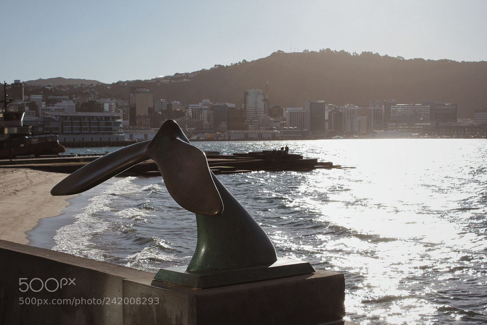 Canon EOS 1200D (EOS Rebel T5 / EOS Kiss X70 / EOS Hi) sample photo. Oriental bay photography