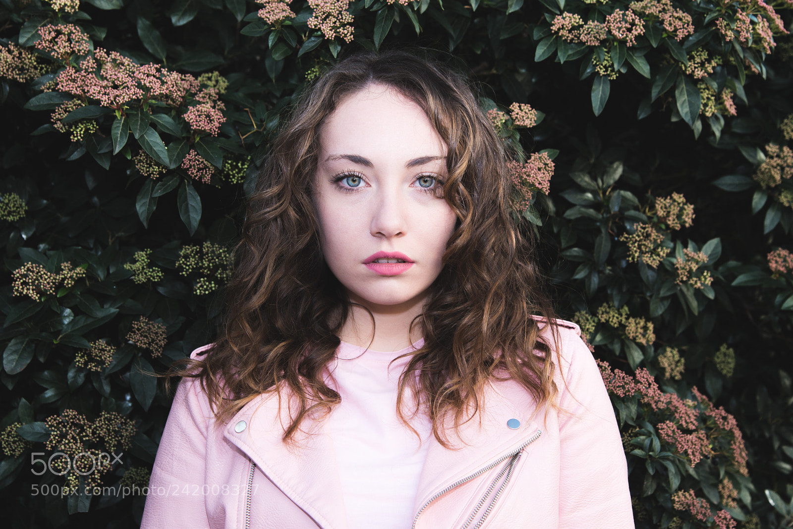 Nikon D800 sample photo. Rosa photography