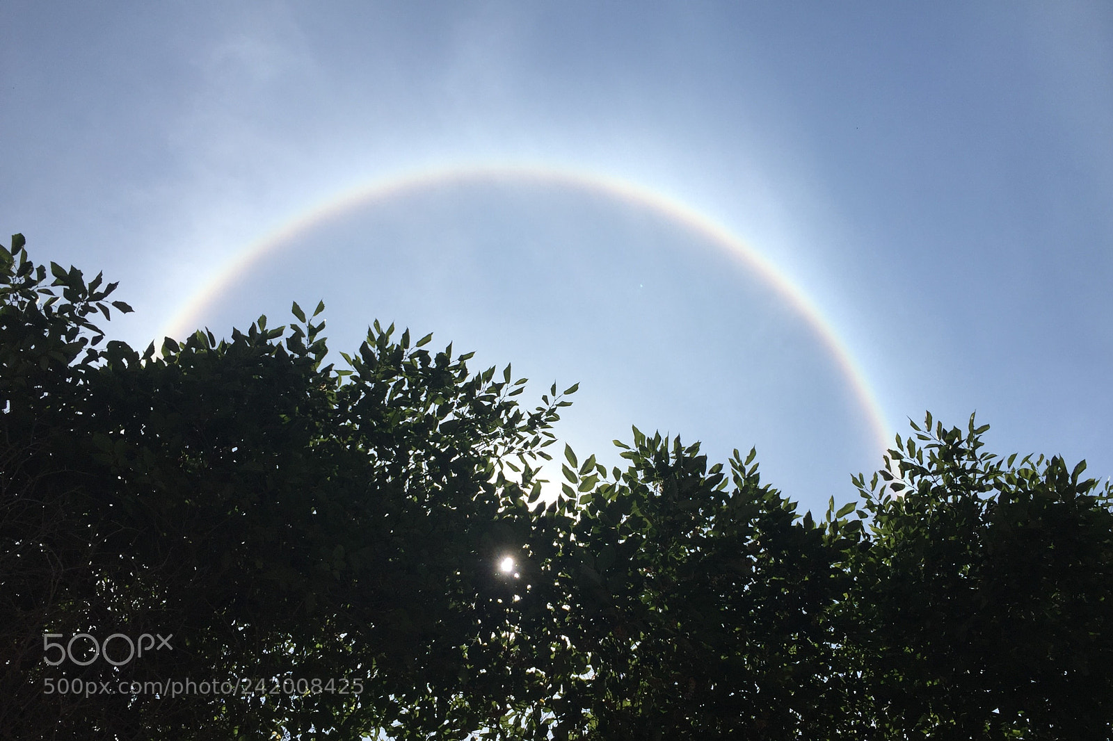 Apple iPhone 6 Plus sample photo. Solar halo photography