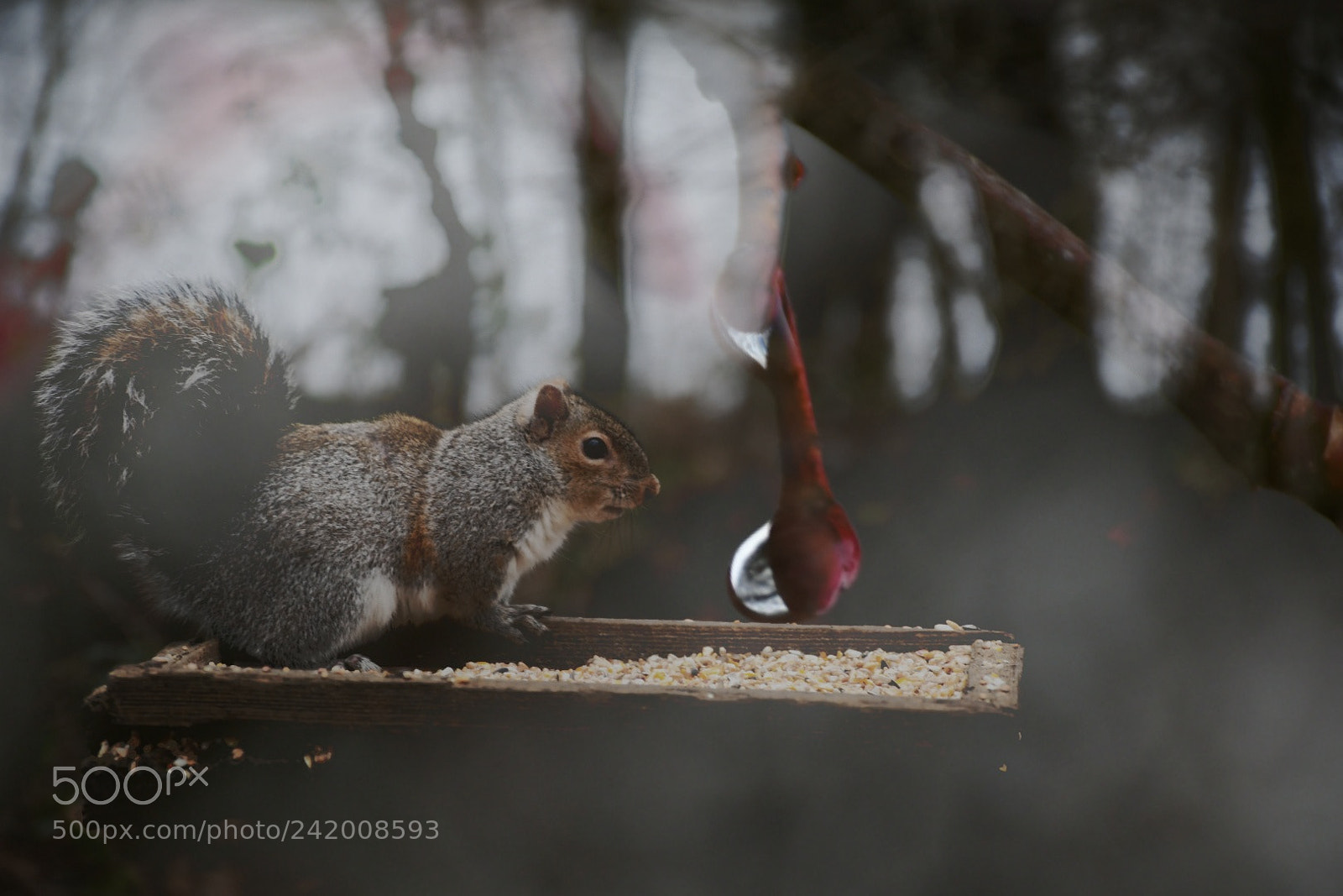 Nikon D7500 sample photo. Blending nature photography