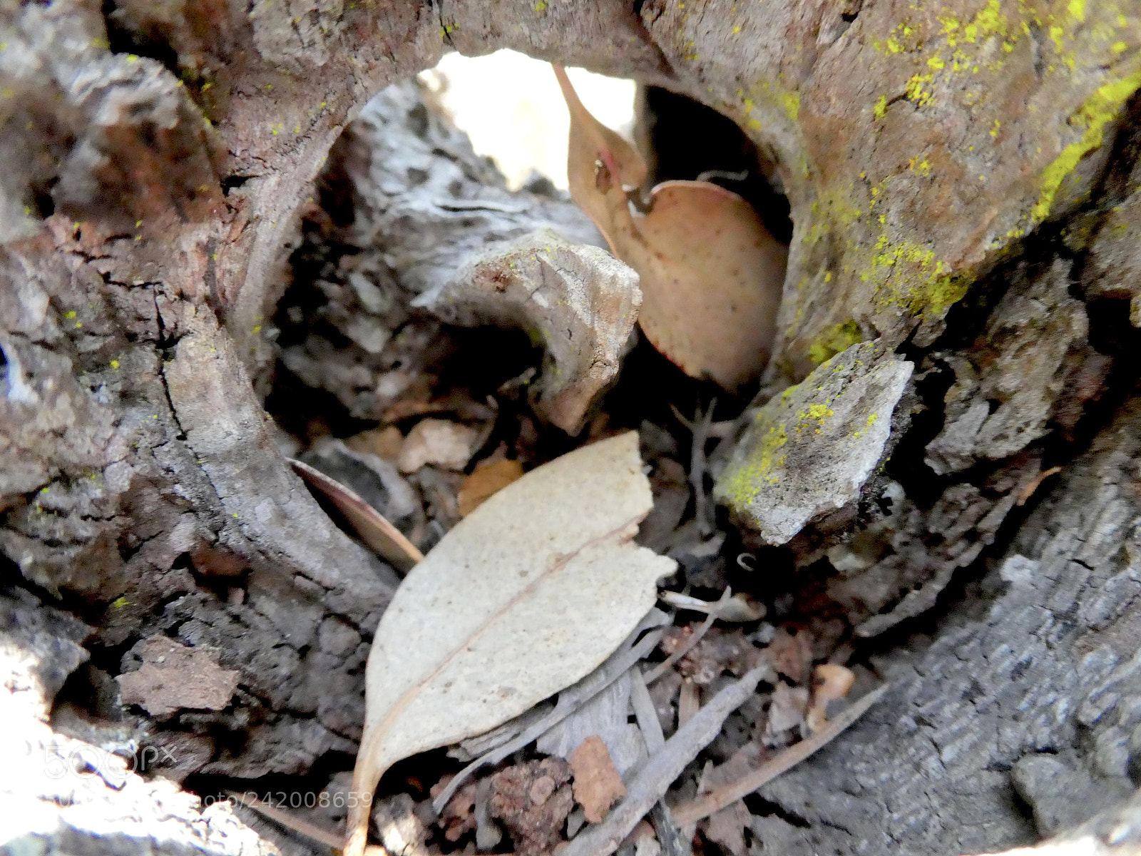 Panasonic Lumix DMC-ZS60 (Lumix DMC-TZ80) sample photo. Nature walk danger falls photography