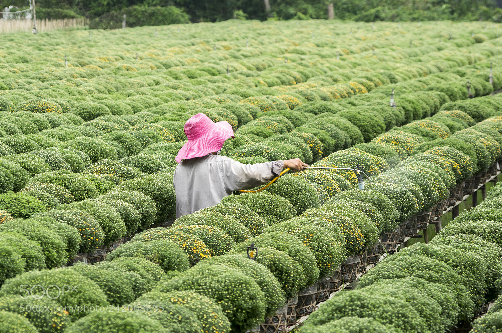 Pentax K-3 sample photo. Aa photography