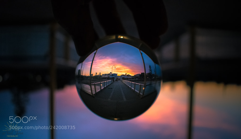 Nikon D3400 sample photo. Sunset looking through the photography