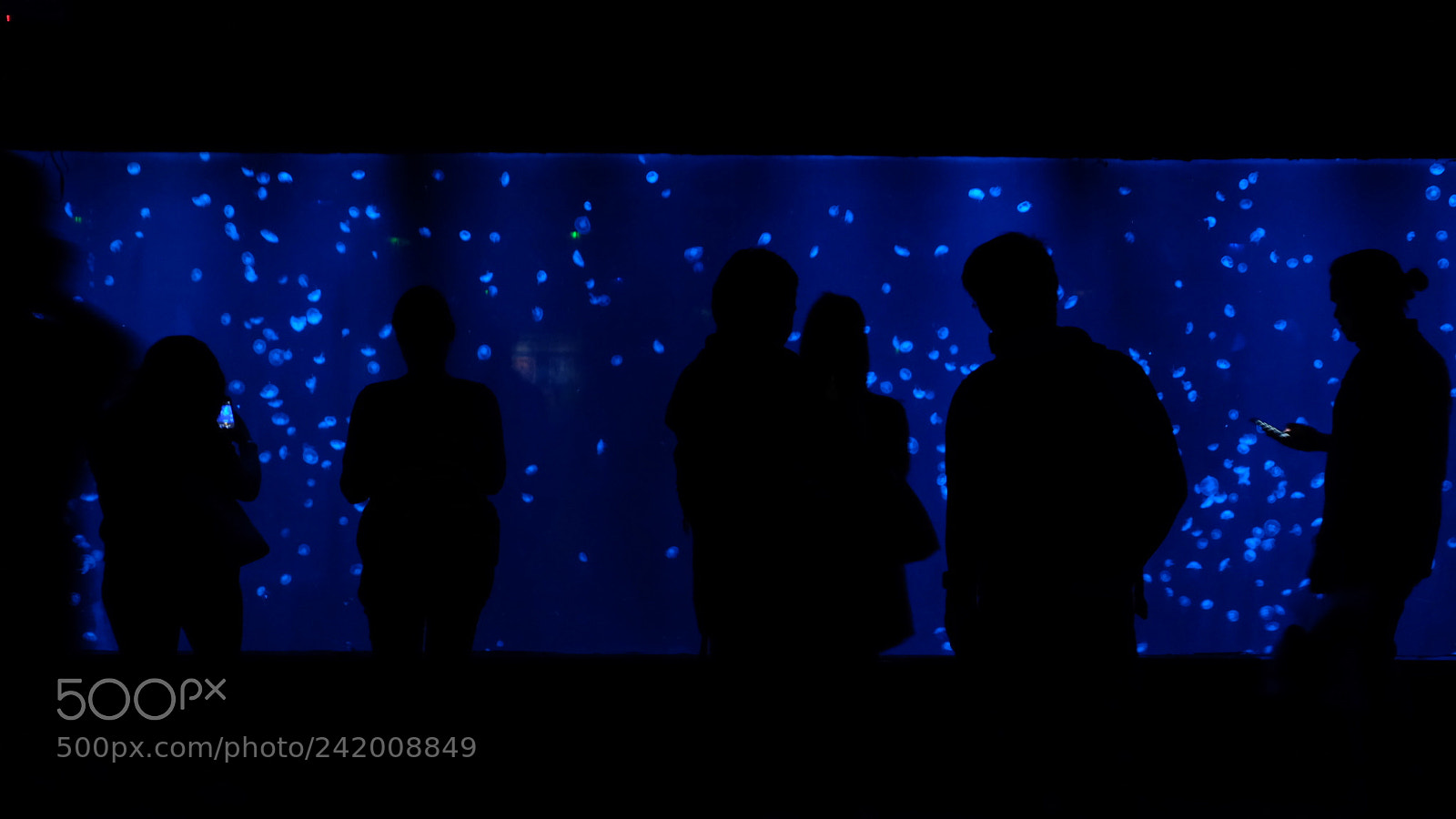Fujifilm X-T10 sample photo. Deep blue photography