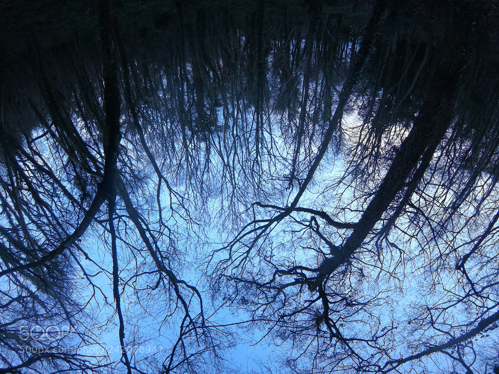 GoPro Hero6 Black sample photo. Night walk photography