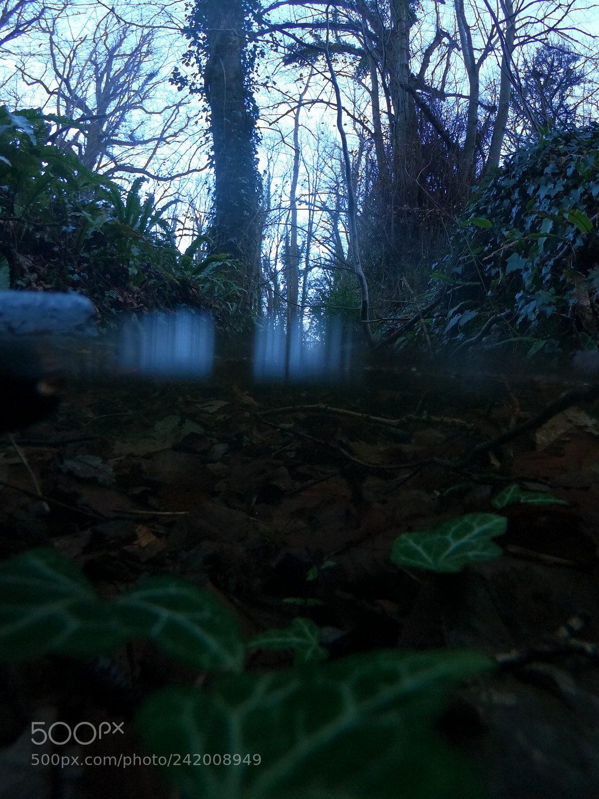 GoPro Hero6 Black sample photo. Night walk photography