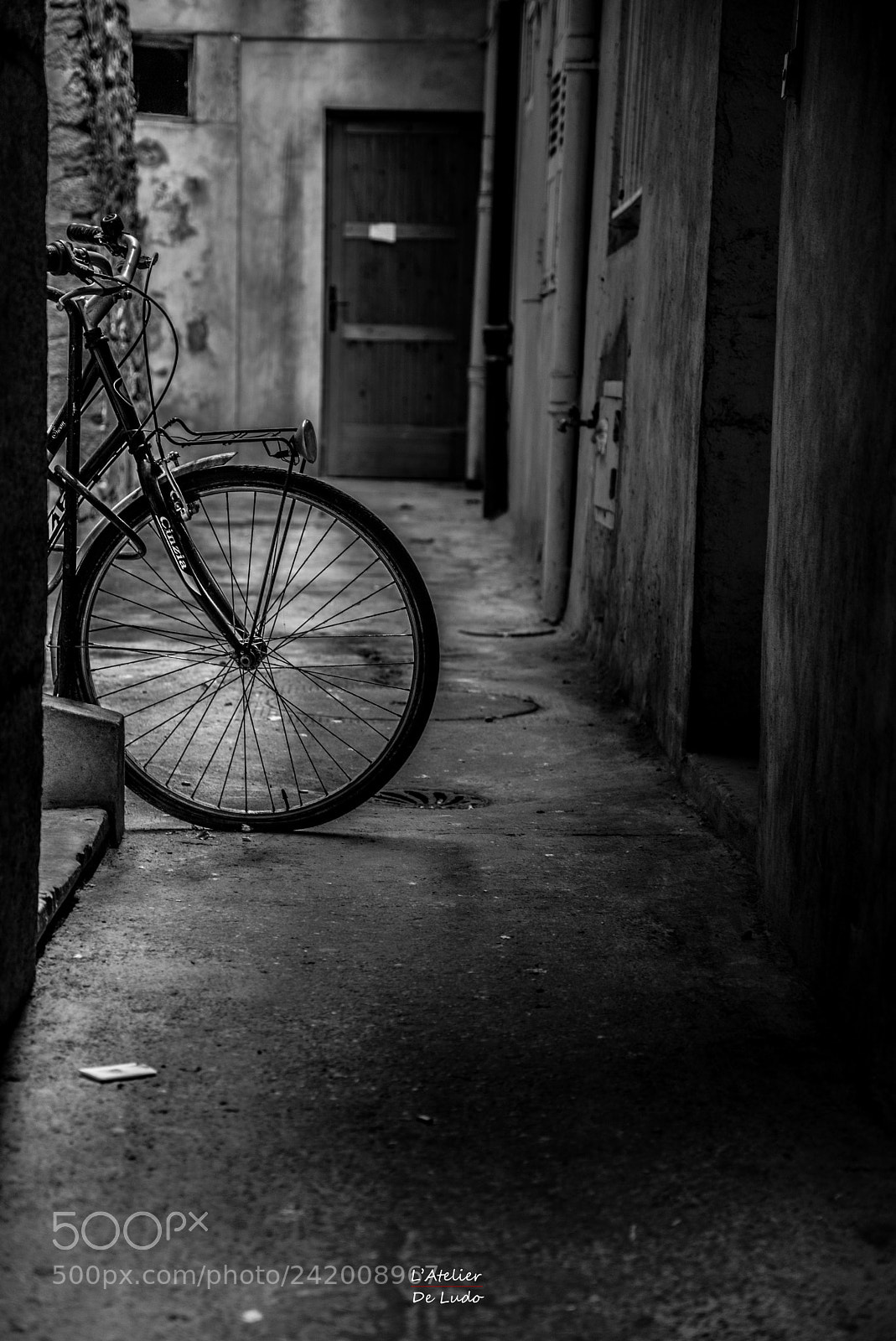 Nikon D600 sample photo. Velo photography