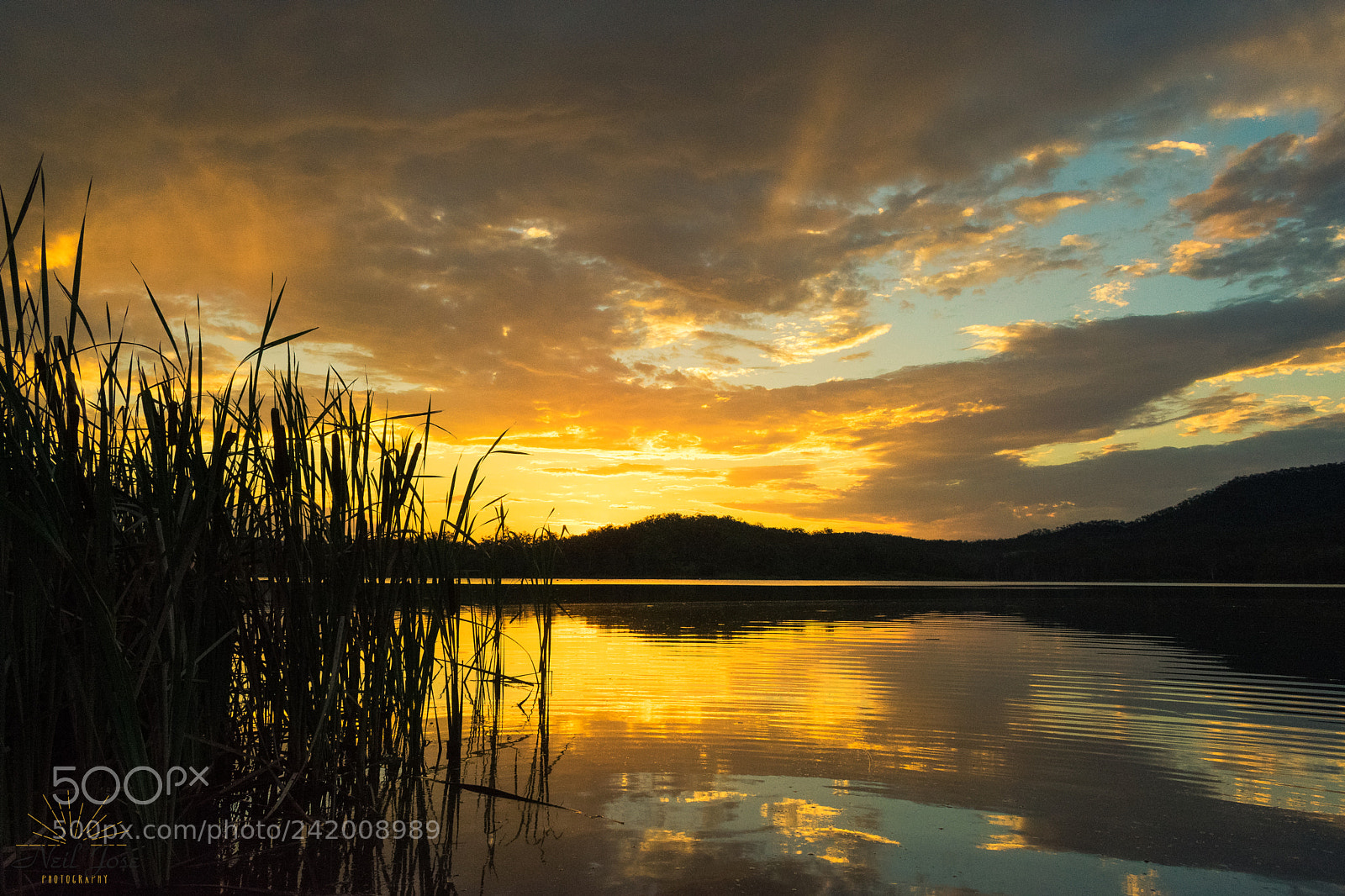 Nikon D3400 sample photo. Orange reflections photography