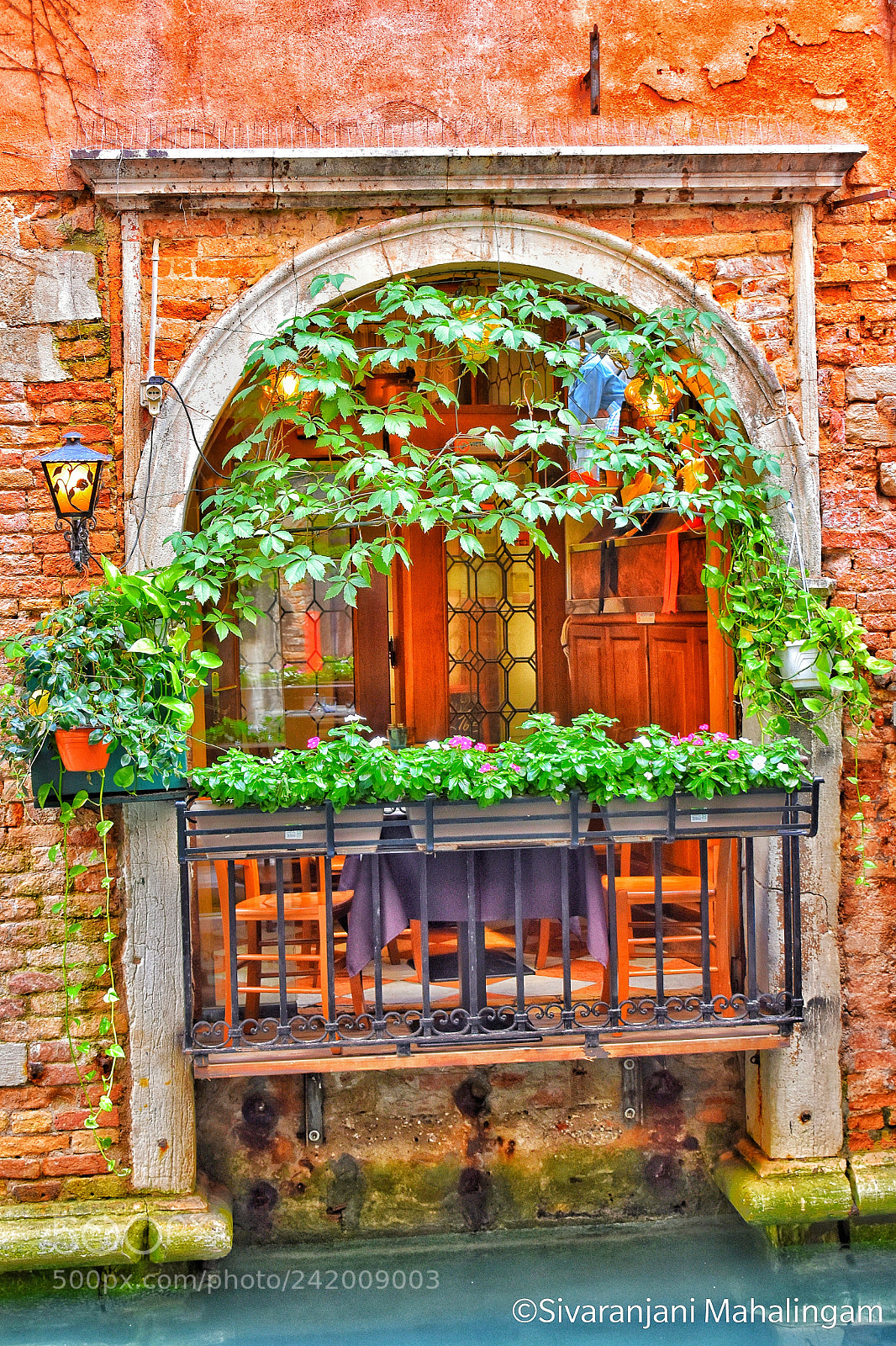 Nikon D5500 sample photo. Window photography
