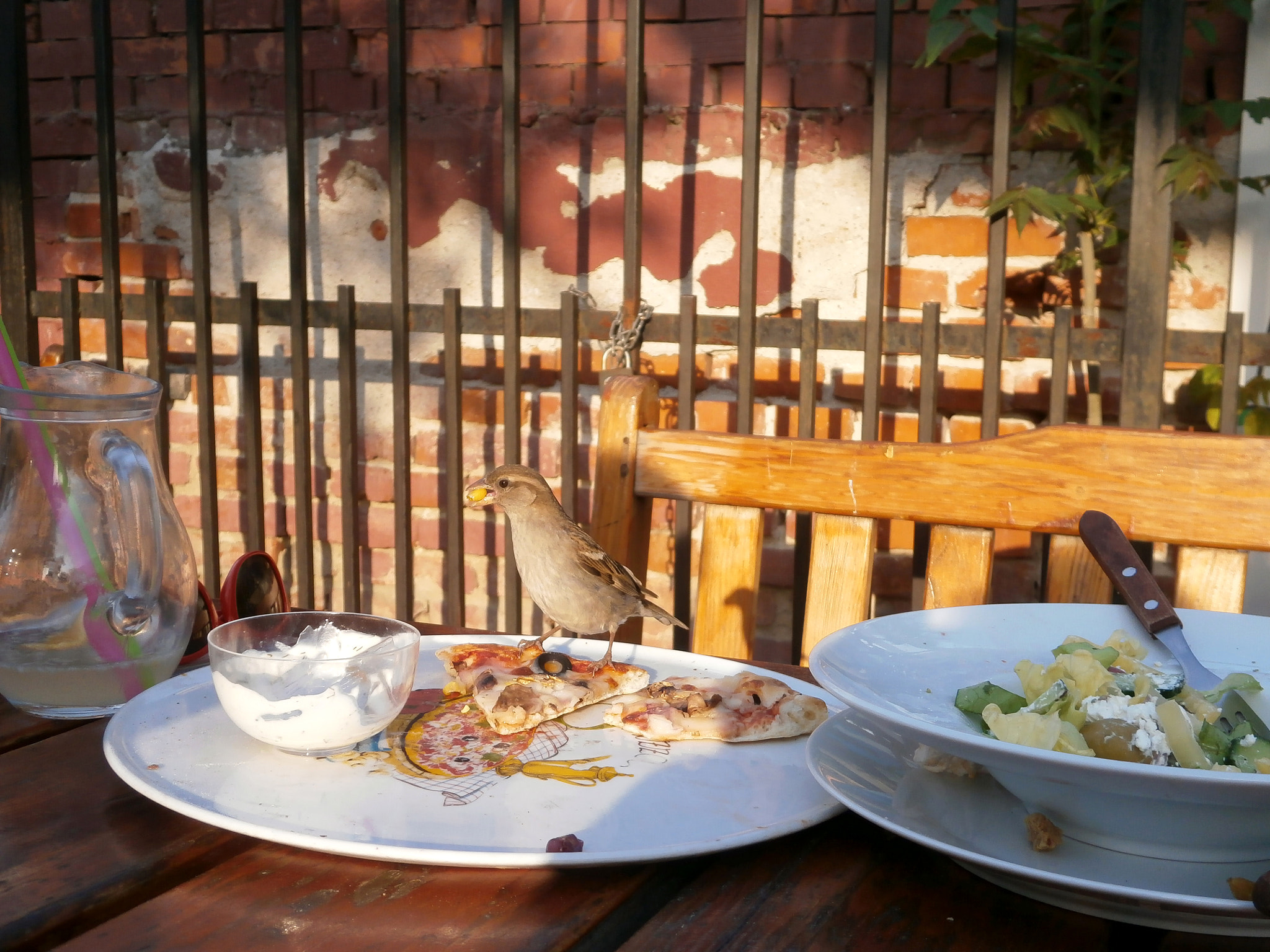 Olympus VG170 sample photo. Little sparrow's lunch time photography