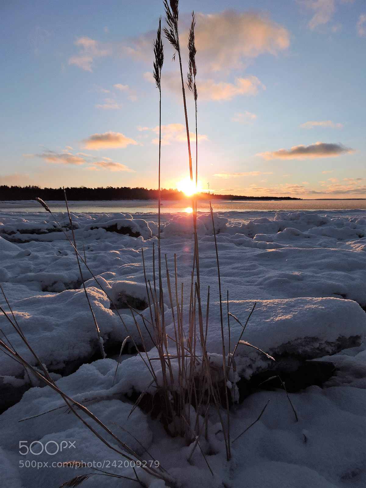 Nikon Coolpix P600 sample photo. Sunset in january by photography