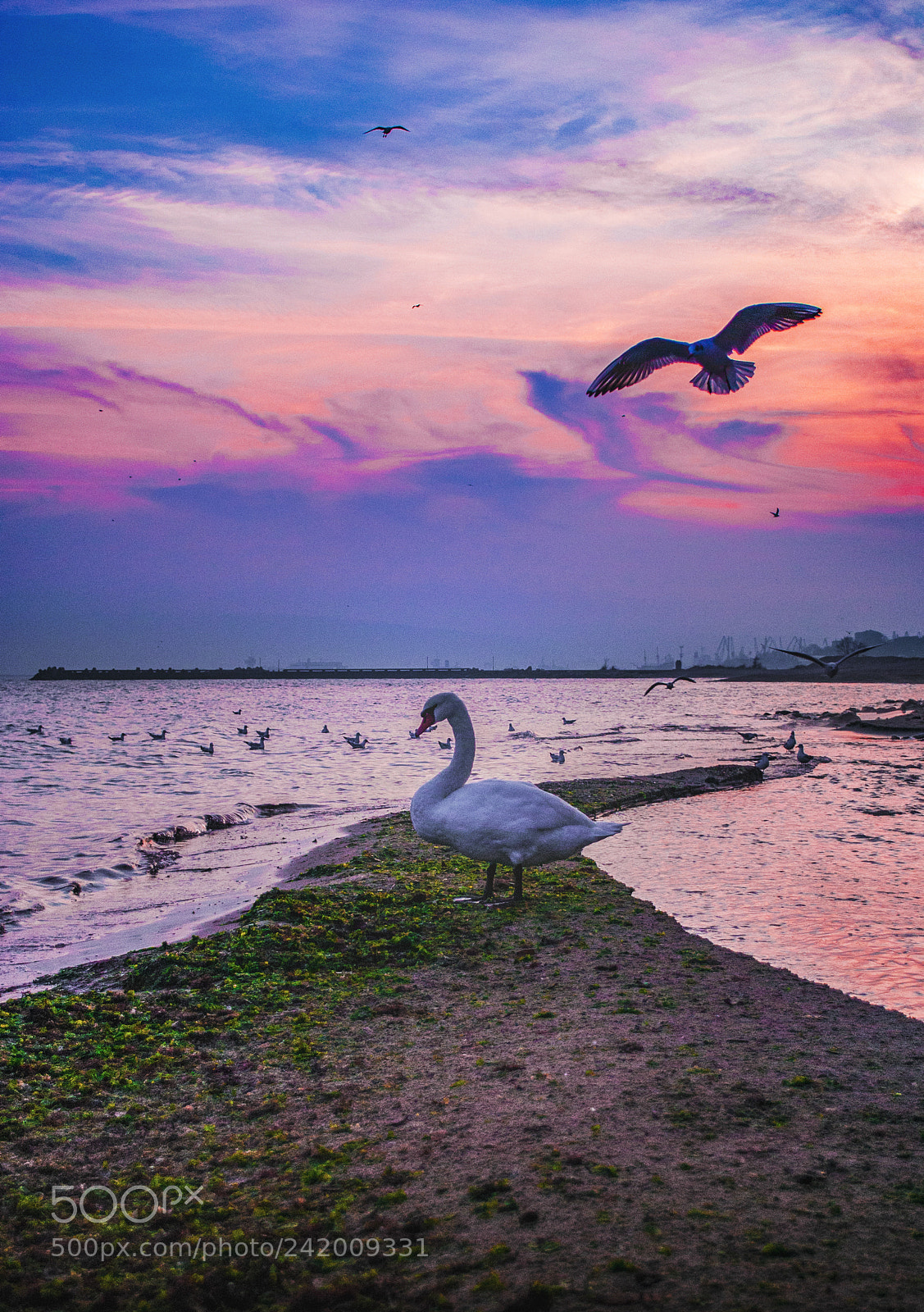 Nikon D3000 sample photo. By the sea. photography