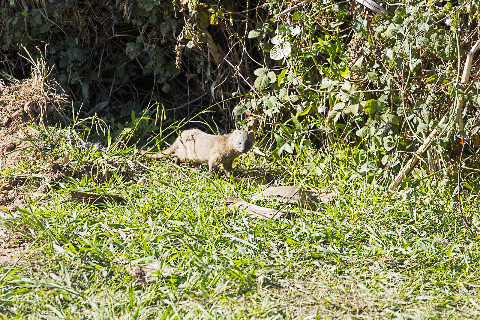 Canon EOS 750D (EOS Rebel T6i / EOS Kiss X8i) sample photo. Untitled photography