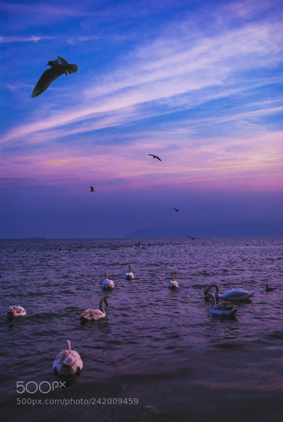 Nikon D3000 sample photo. January sunsets. photography