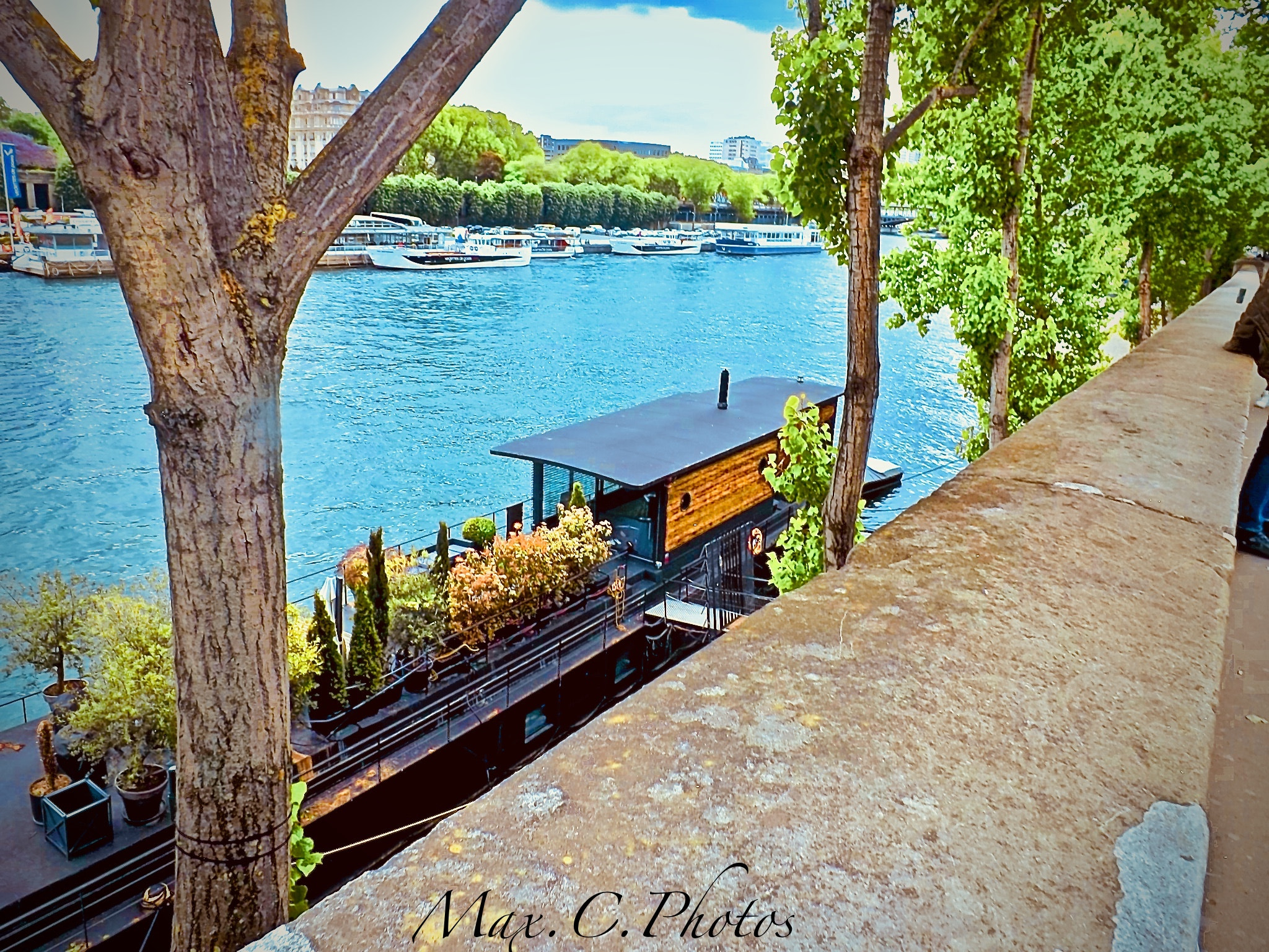 Fujifilm FinePix SL260 sample photo. Bord de seine photography