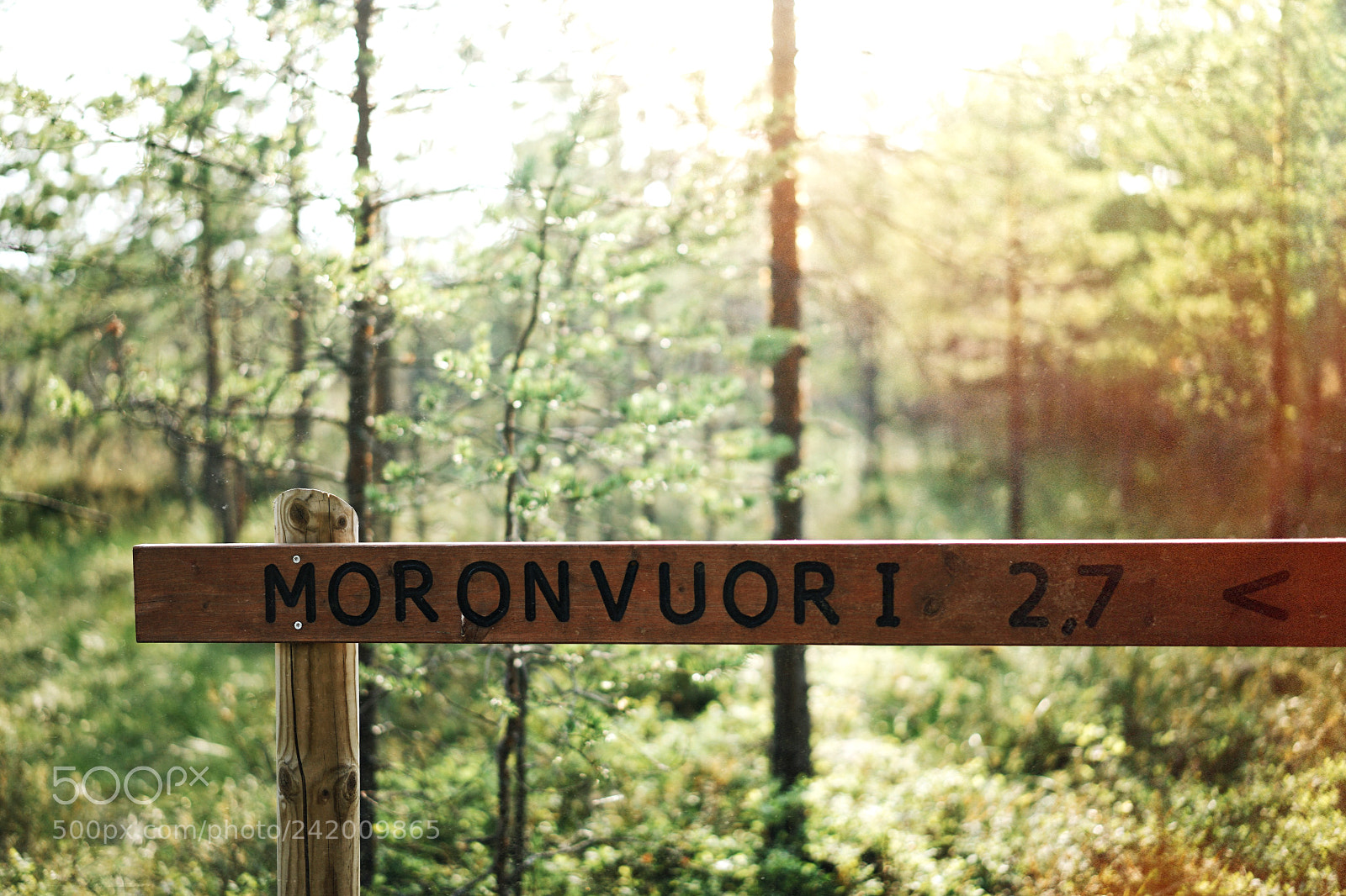 Sony a7 II sample photo. Moronvuori photography