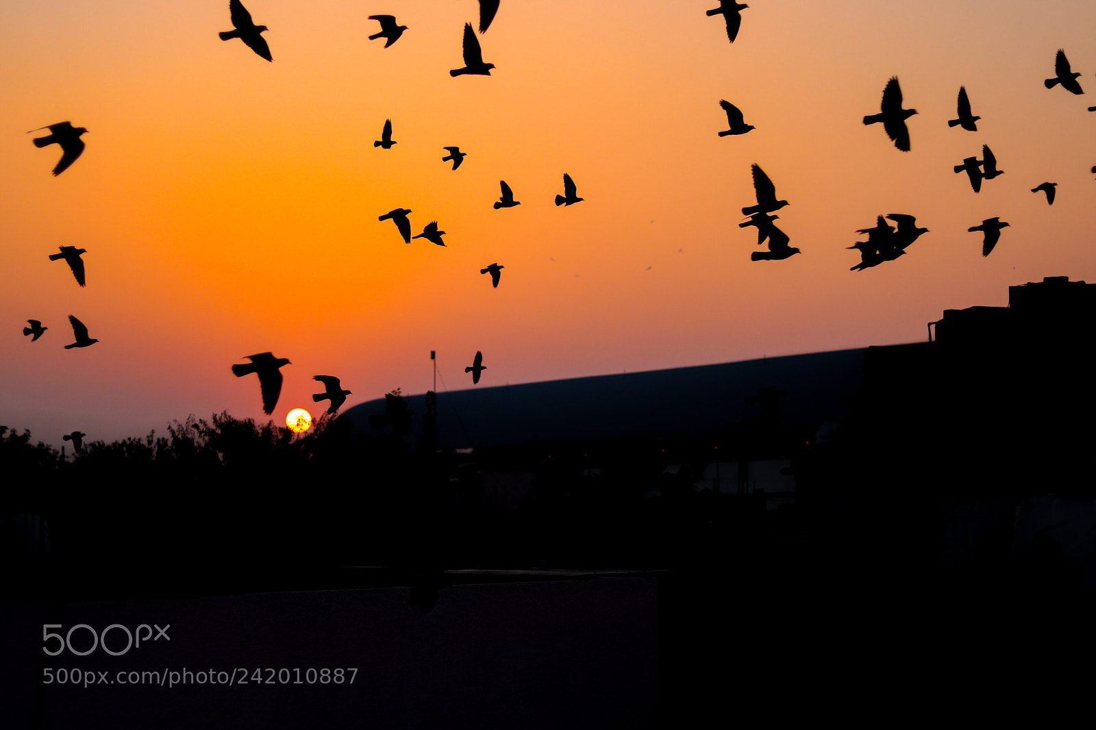 Canon EOS 77D (EOS 9000D / EOS 770D) sample photo. Enjoying the sunset photography