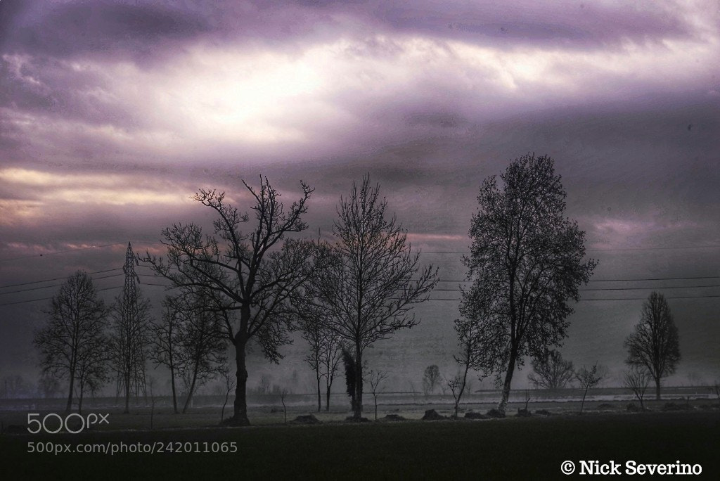 Sony a7R sample photo. Countryside photography