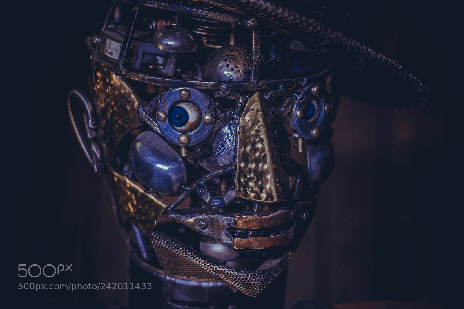 Canon EOS-1D Mark II sample photo. Untitled photography