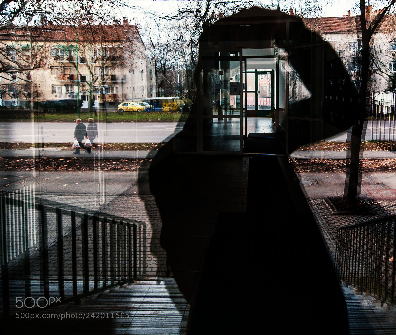 Nikon D810 sample photo. Untitled photography