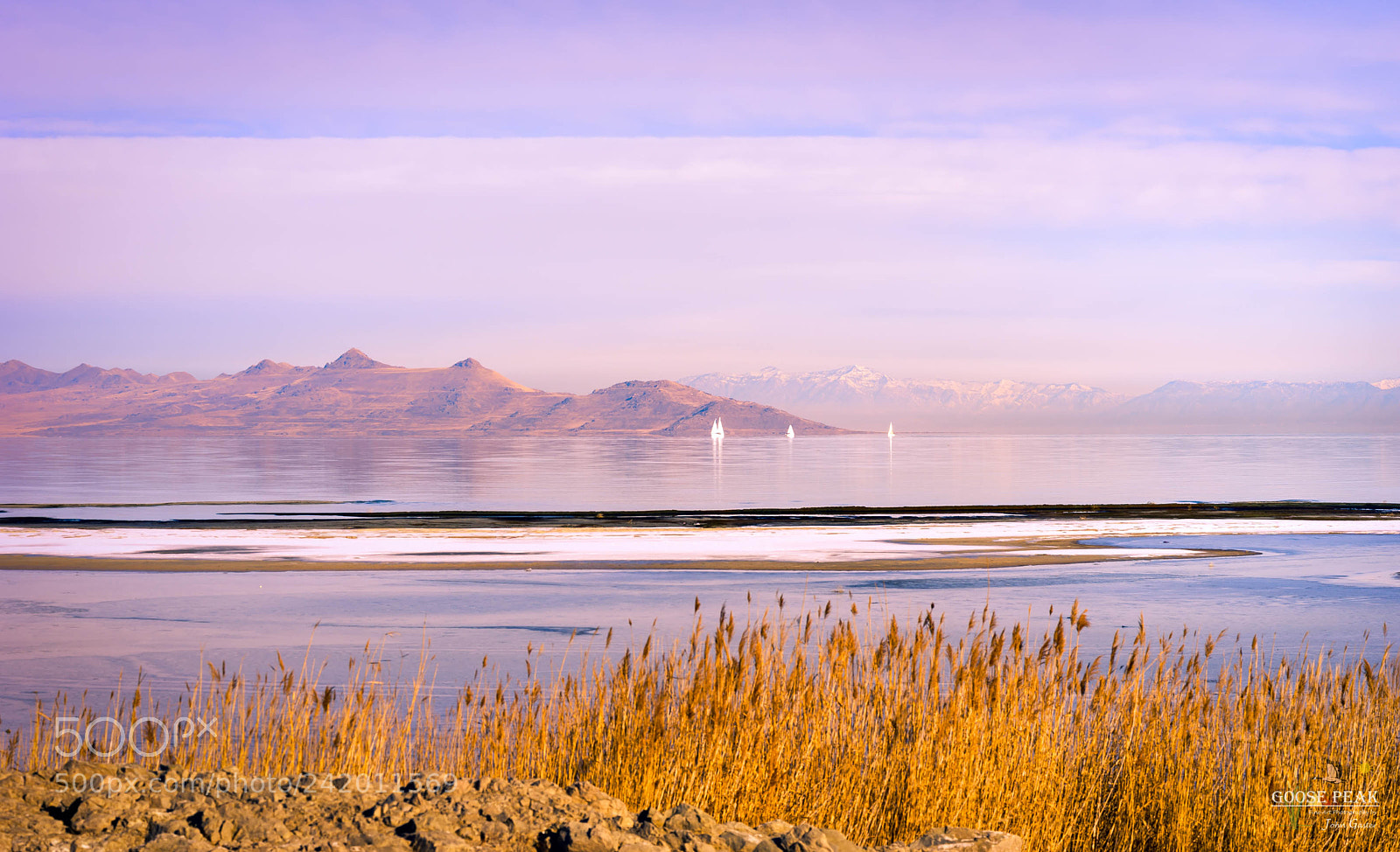 Sony a7 II sample photo. White sail boats photography