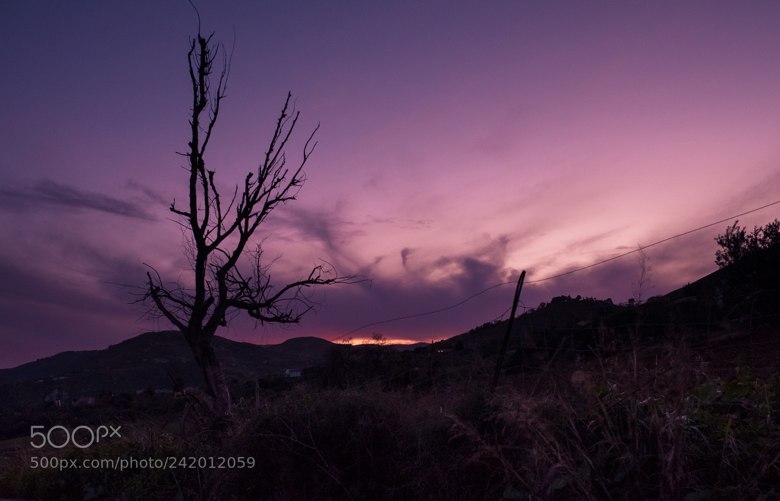 Fujifilm X-T20 sample photo. Scopello photography
