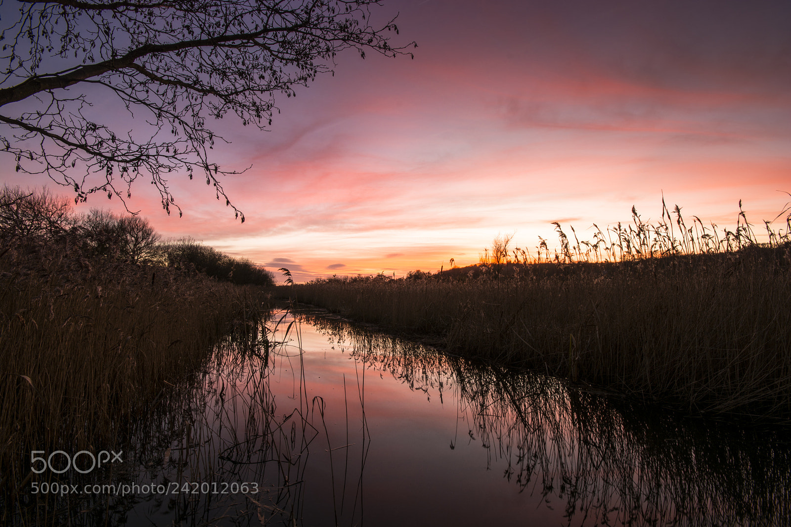 Nikon D7100 sample photo. Leighton moss sun set photography