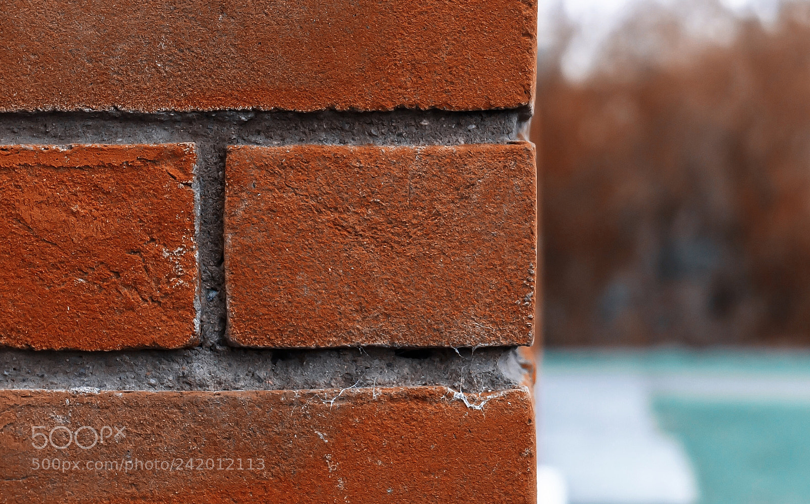 Fujifilm X10 sample photo. Wall photography