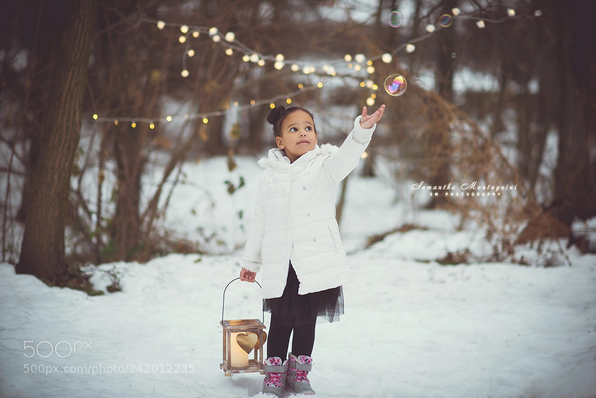 Nikon D810 sample photo. Winter love photography