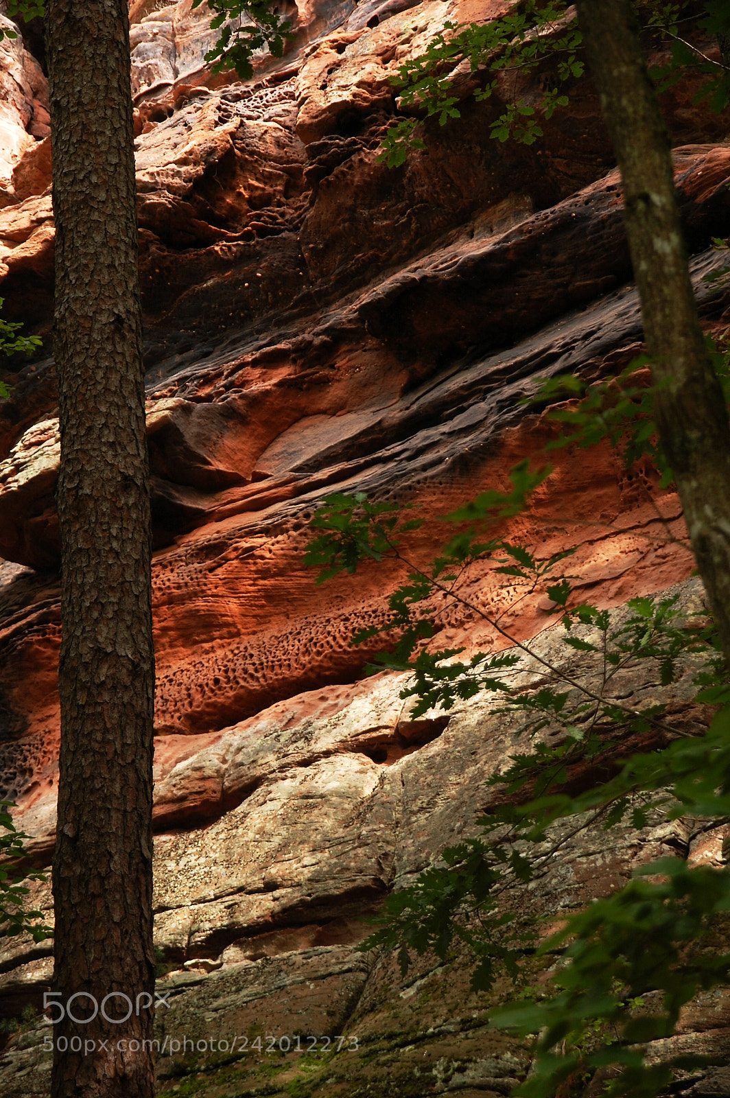 Nikon D40 sample photo. Rock photography