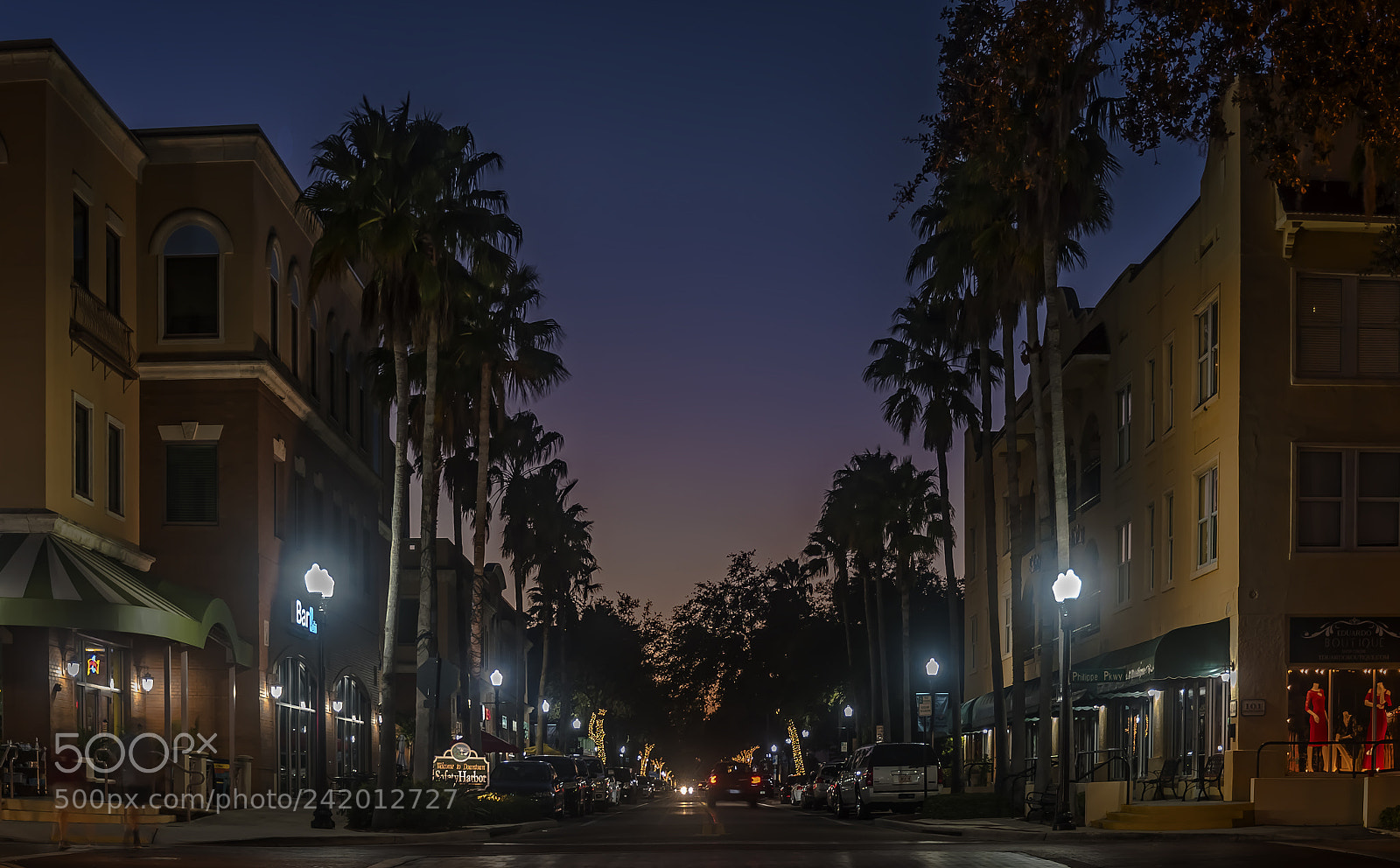 Nikon D5500 sample photo. Sunset boulevard in safety photography