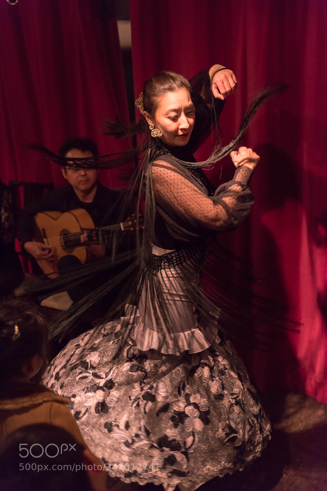 Nikon D810 sample photo. Flamenco photography