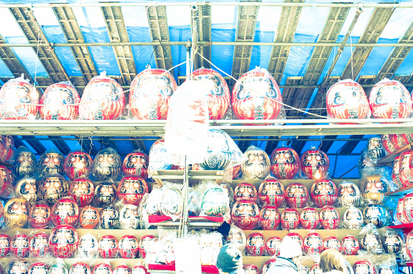 Nikon D700 sample photo. Untitled photography