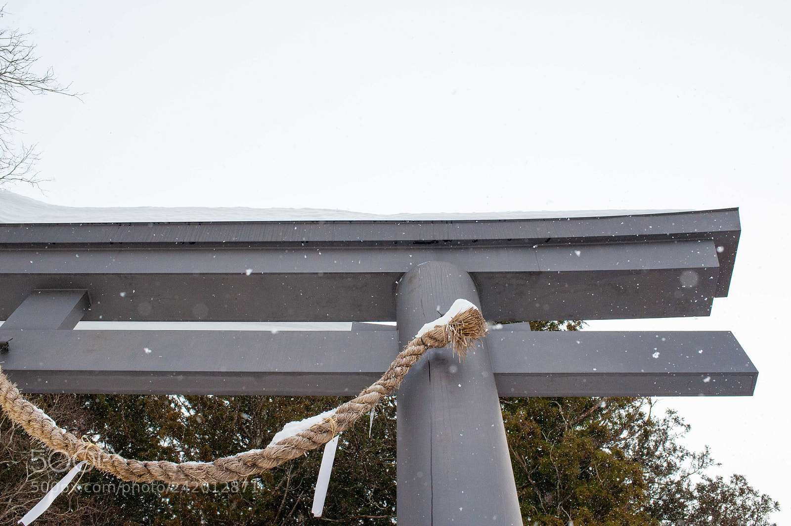 Nikon D700 sample photo. Untitled photography