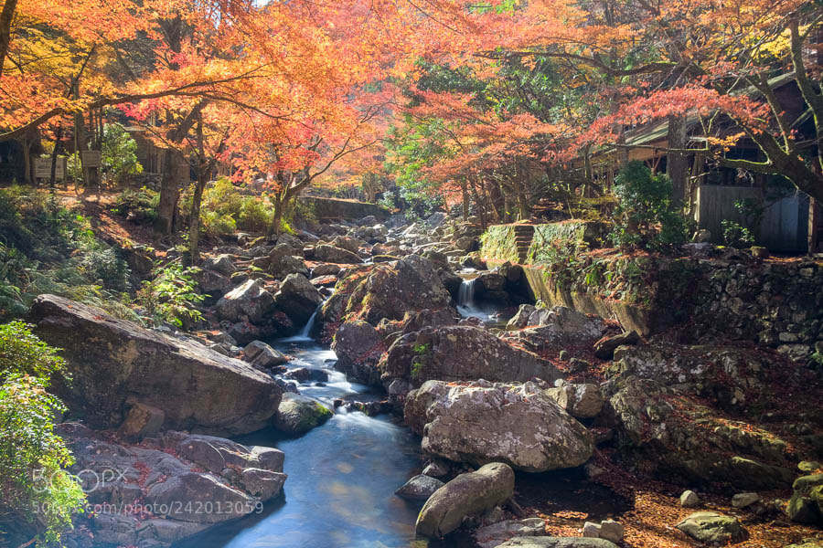Fujifilm X-E1 sample photo. Kuragari ravine photography