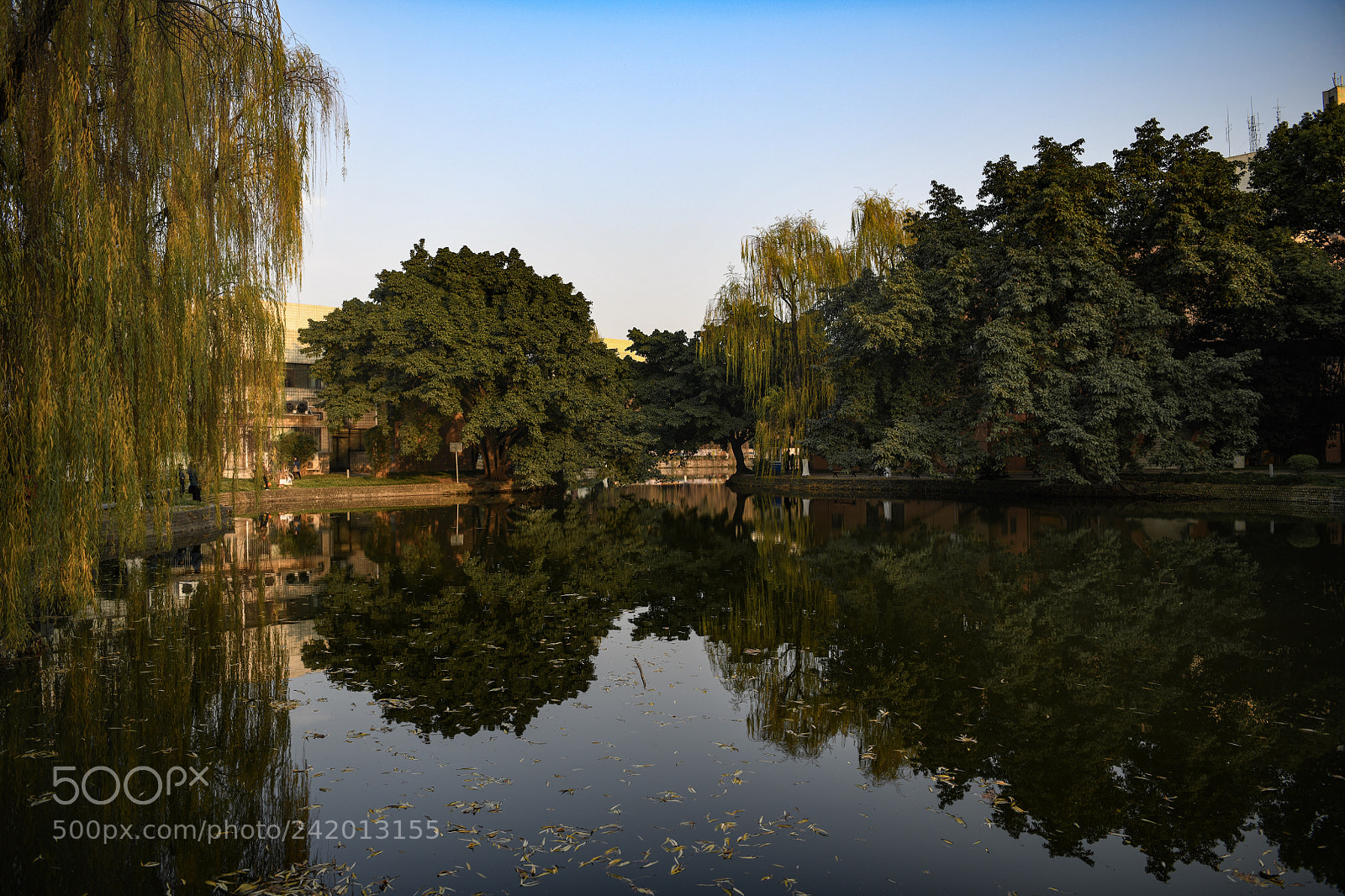 Nikon D850 sample photo. Landscape photography
