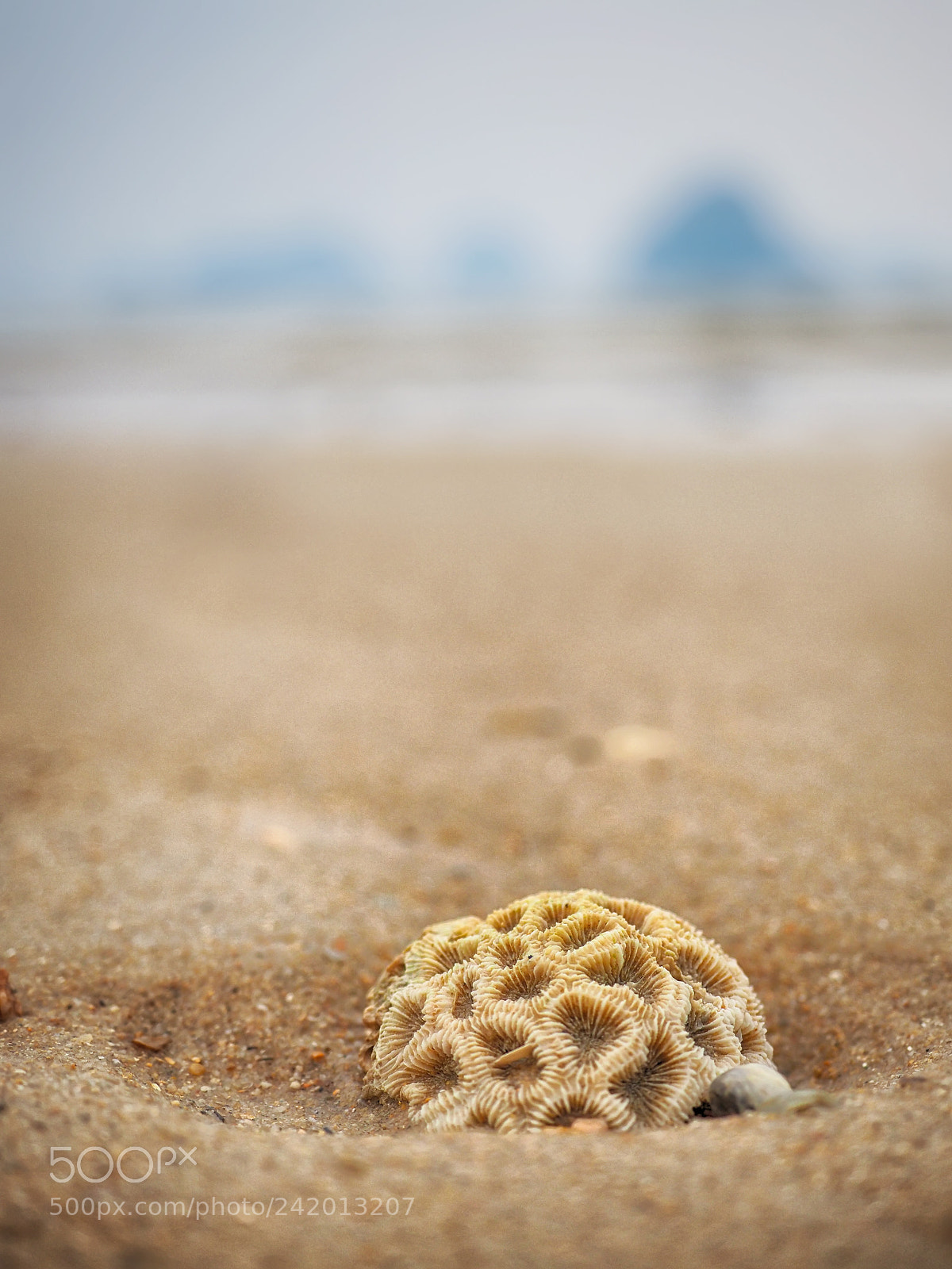 Olympus OM-D E-M1 Mark II sample photo. Serenity photography