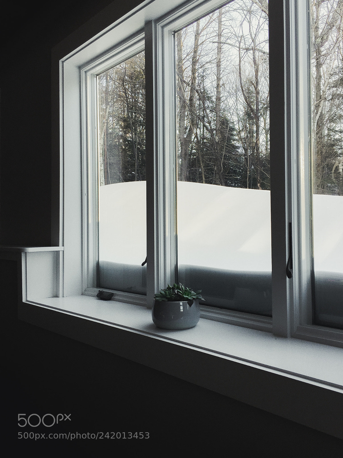 Apple iPhone 6 sample photo. Snowed in. photography