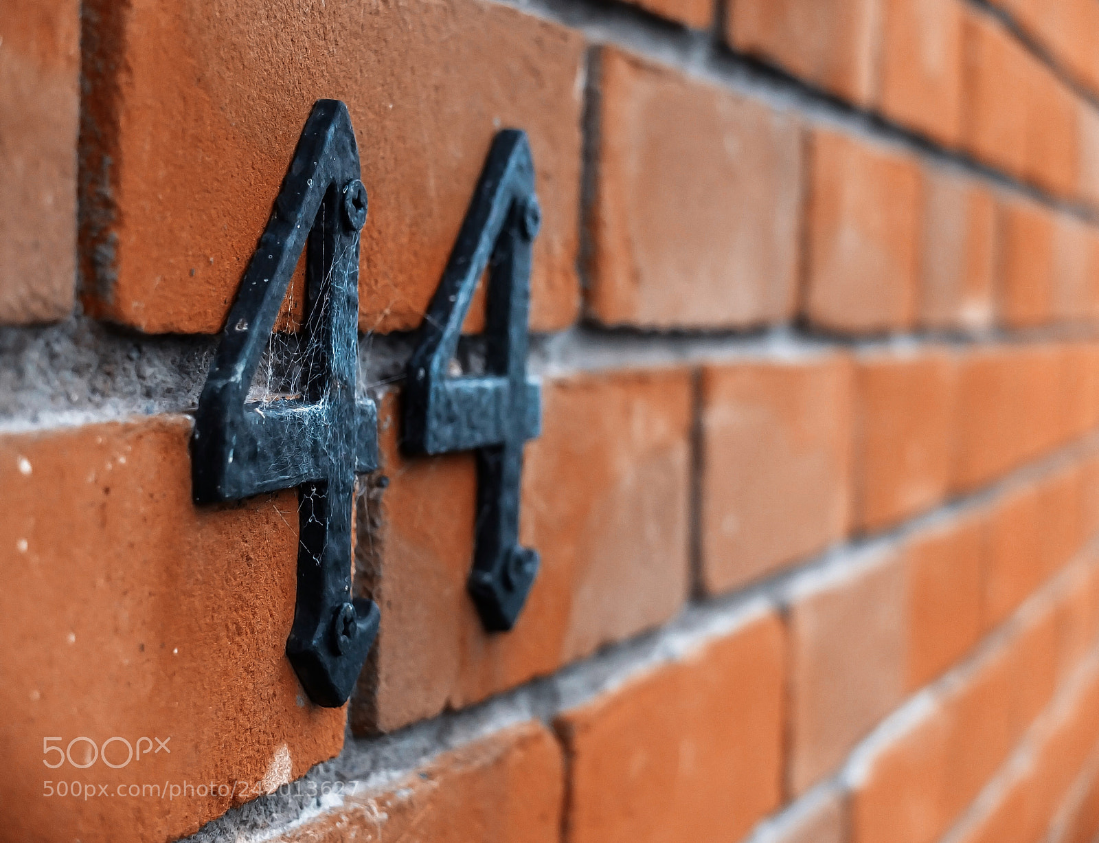 Fujifilm X10 sample photo. 44 photography