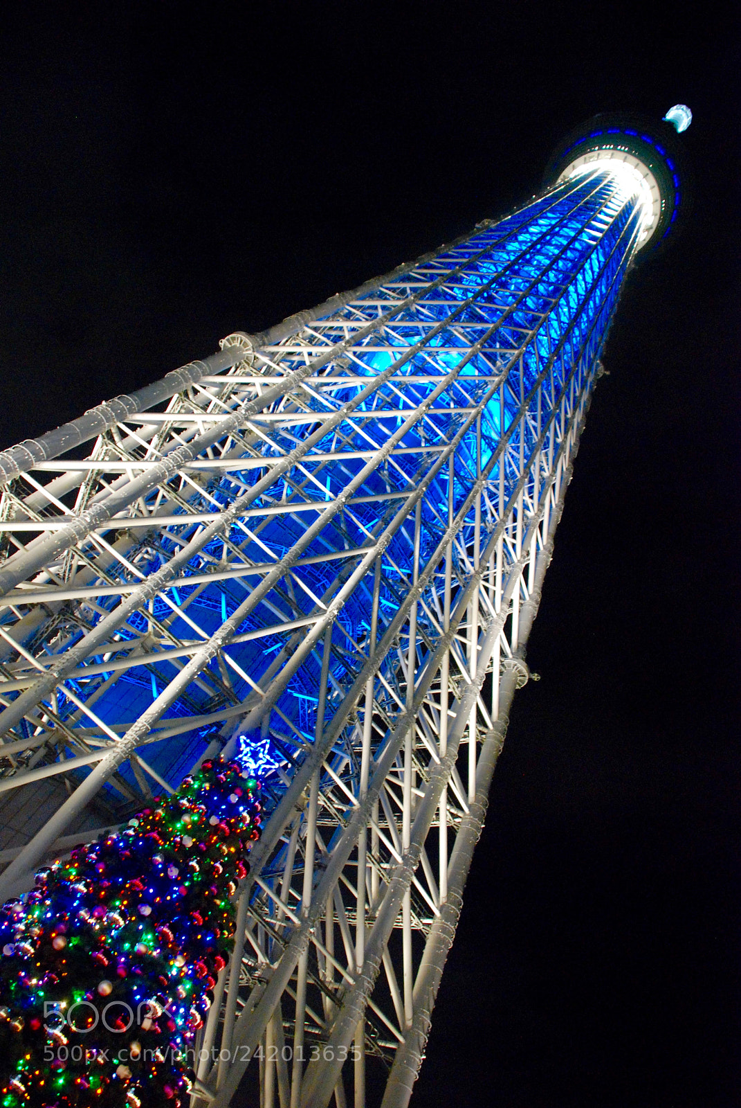 Nikon D80 sample photo. Japan/tokyo 日本/東京 (180110) photography